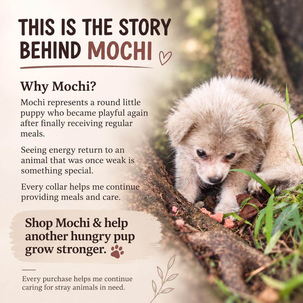 Aura Series - Mochi