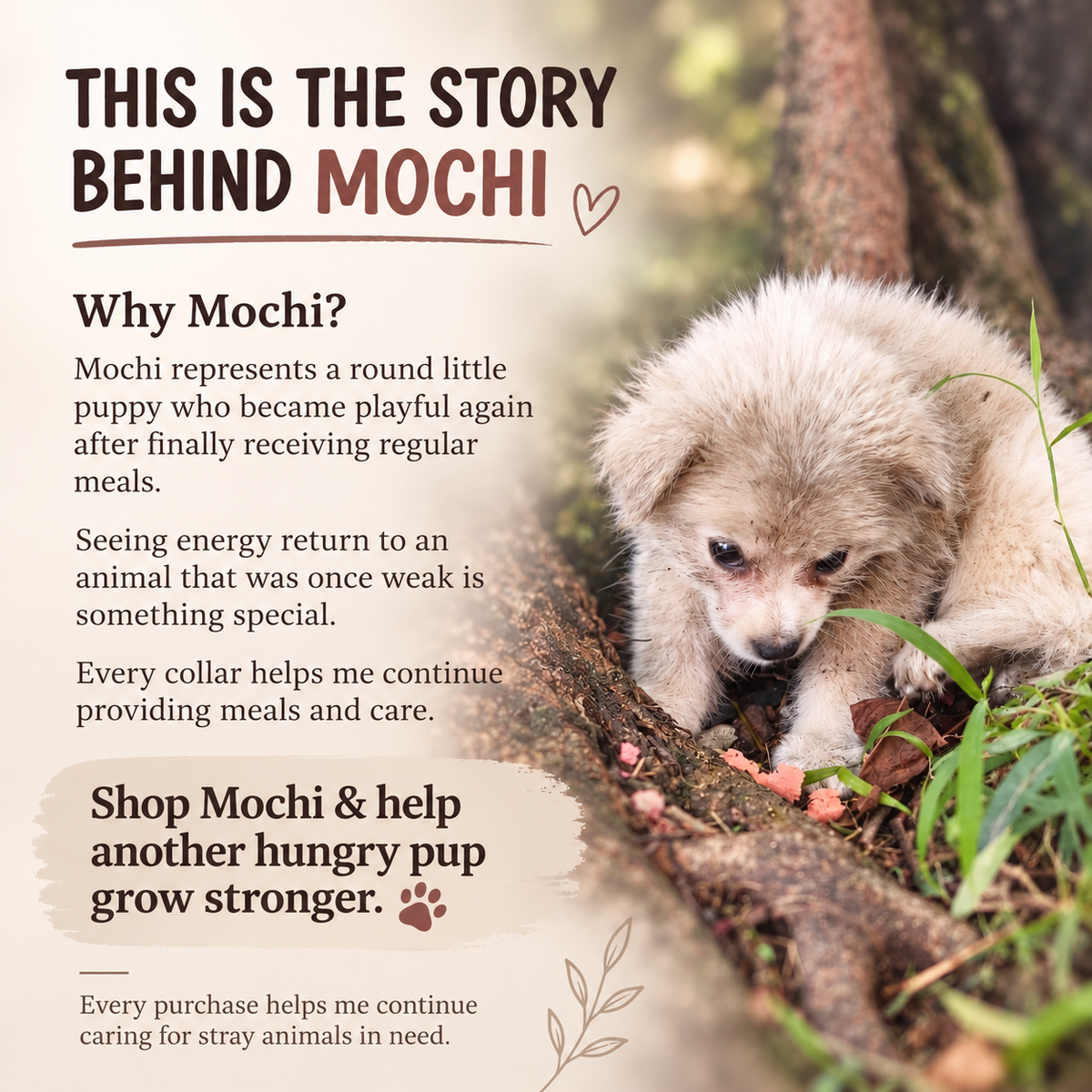 Aura Series - Mochi