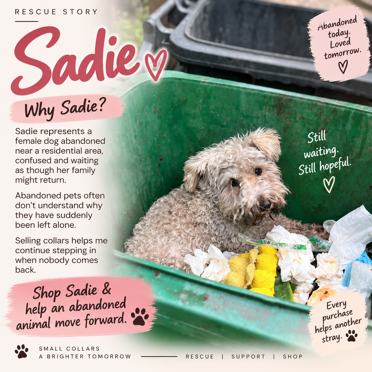 Aura Series - Sadie