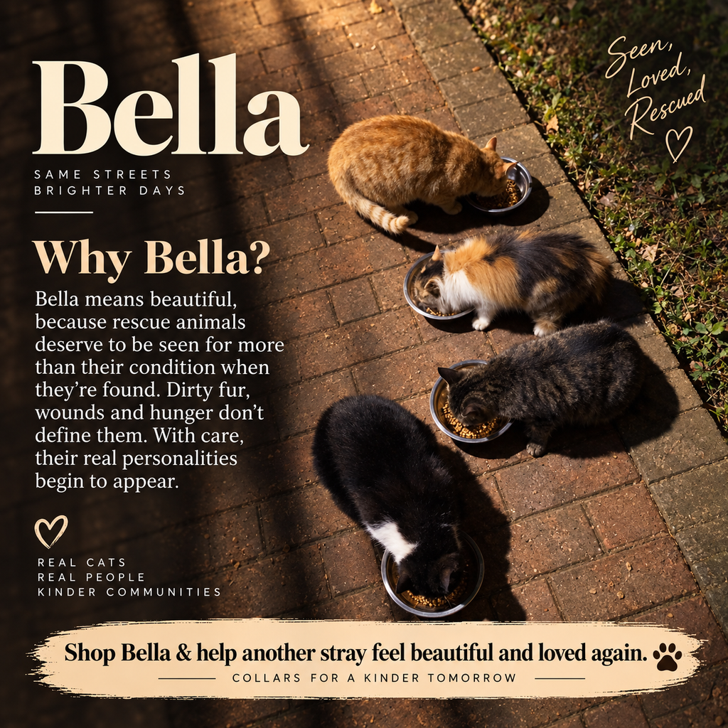 Aura Series - Bella