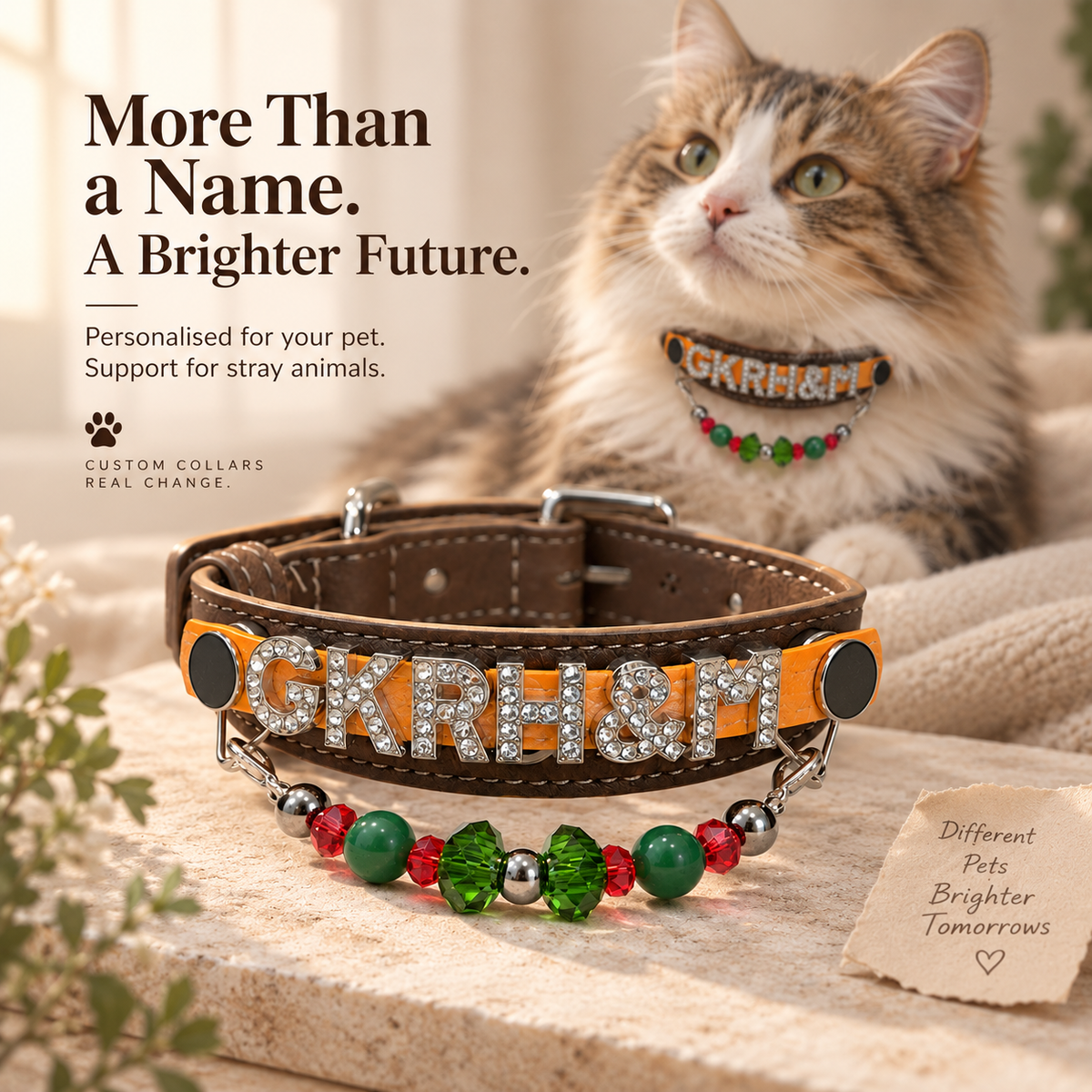 Personalise Your Collar