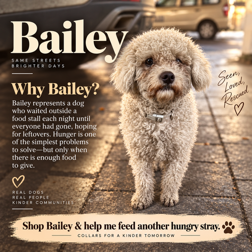 Aura Series - Bailey