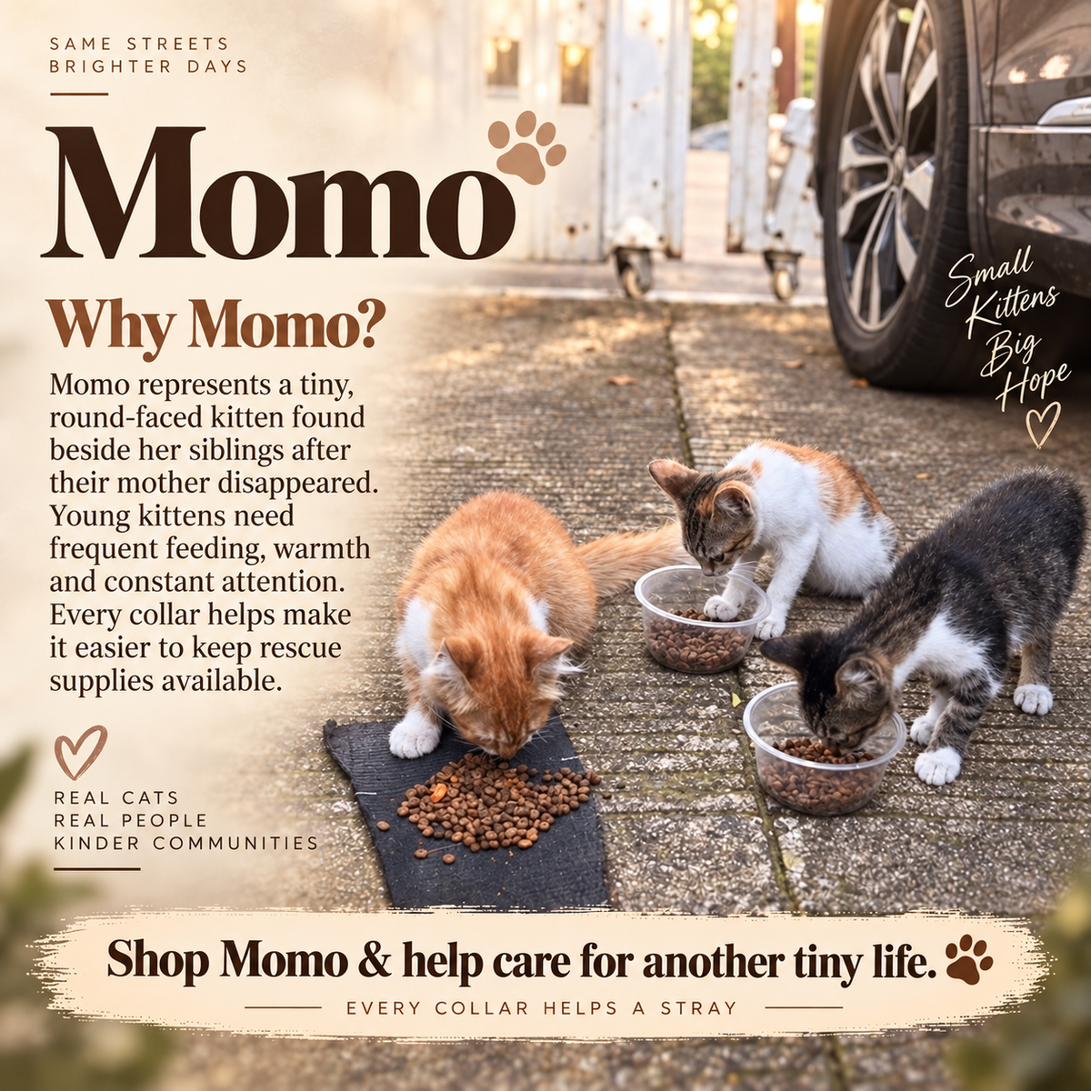 Twin Series - Momo