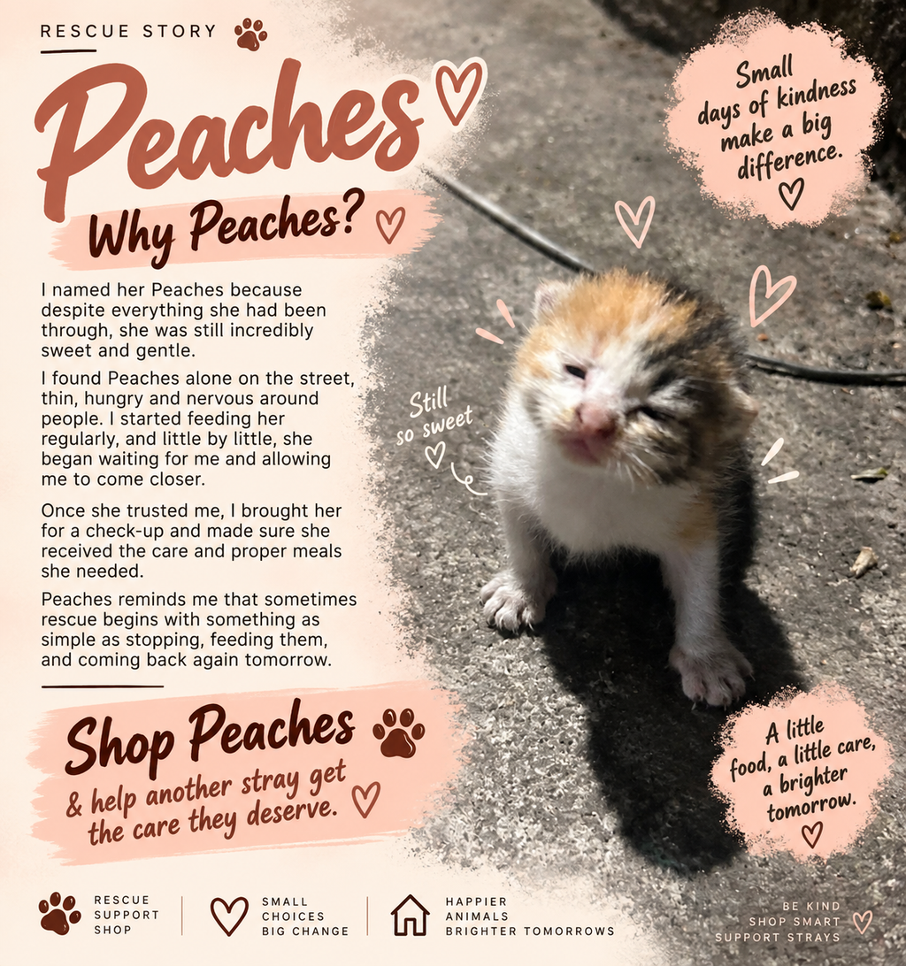 Halo Series - Peaches (purple)