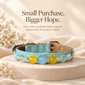 Halo Series - Sunny (blue)