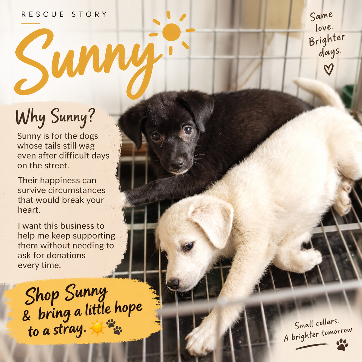 Halo Series - Sunny (blue)