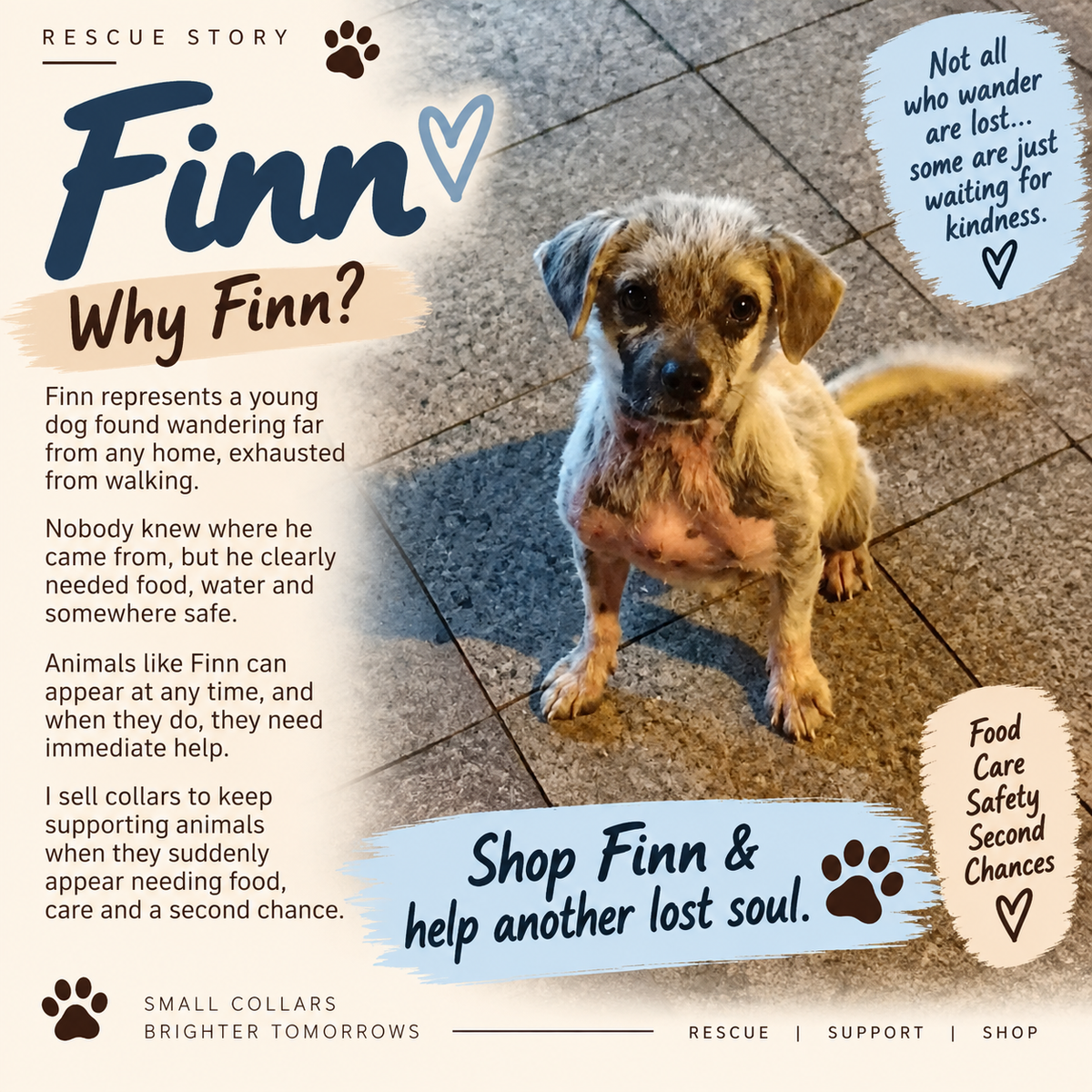 Aura Series - Finn