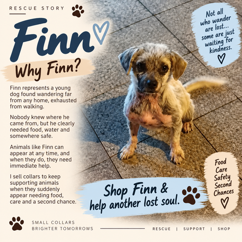 Aura Series - Finn