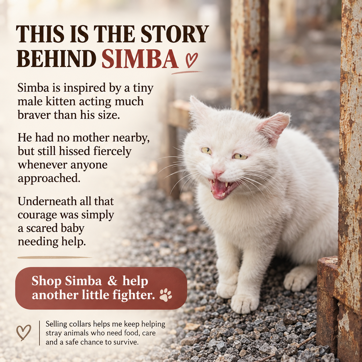 Aura Series - Simba