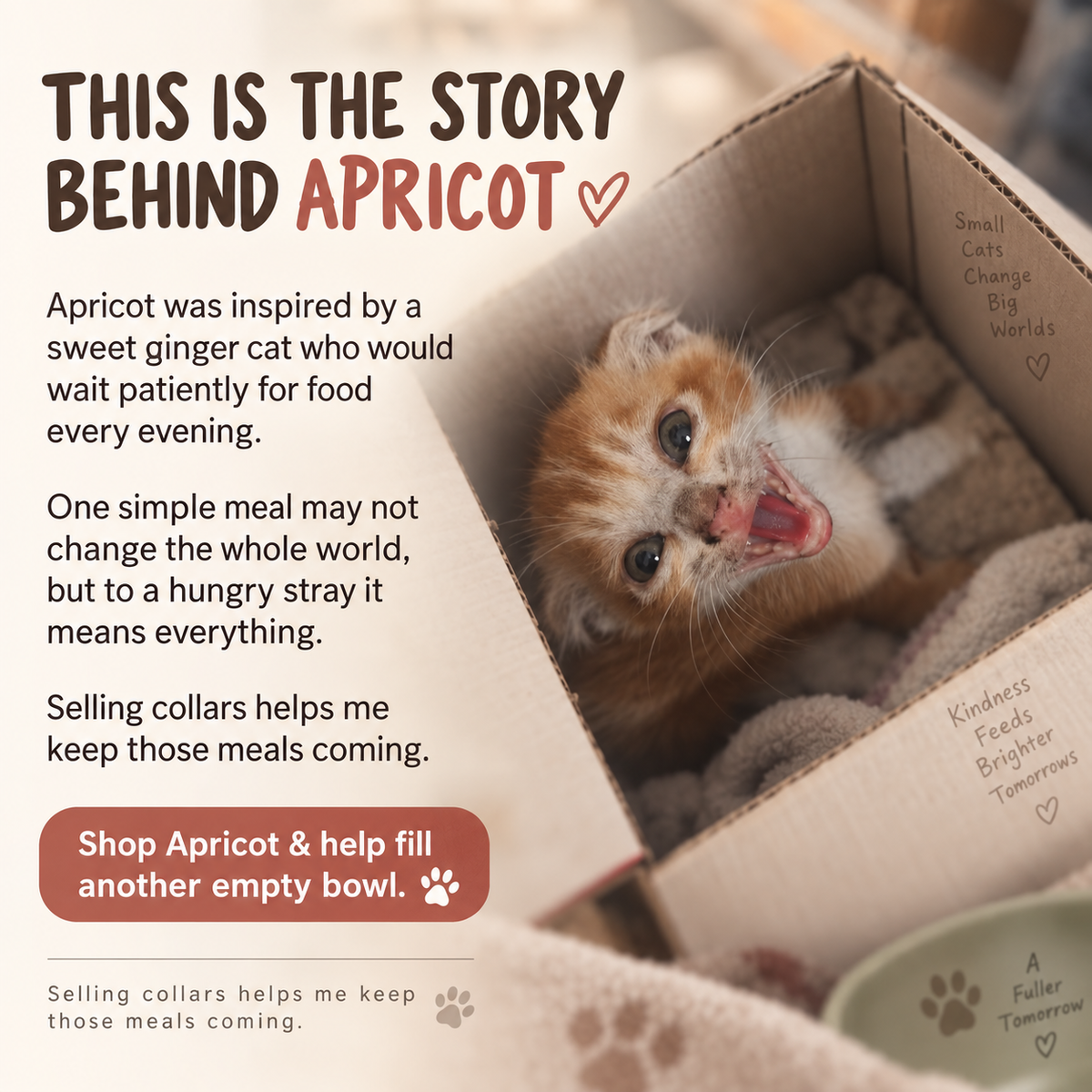 Halo Series - Apricot (white)
