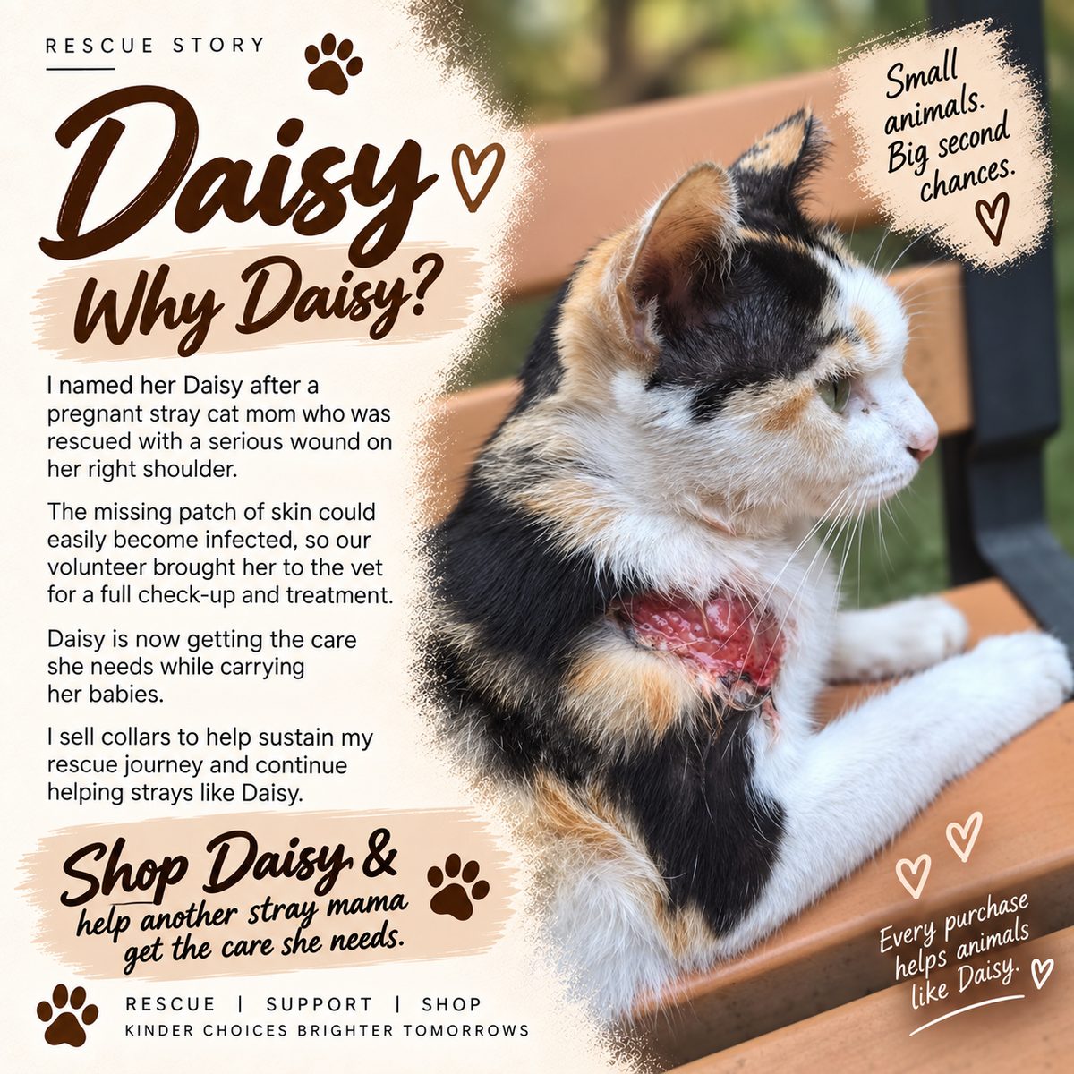 Aura Series - Daisy