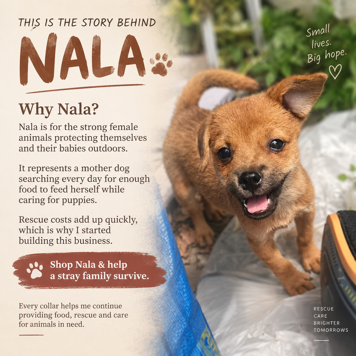Aura Series - Nala