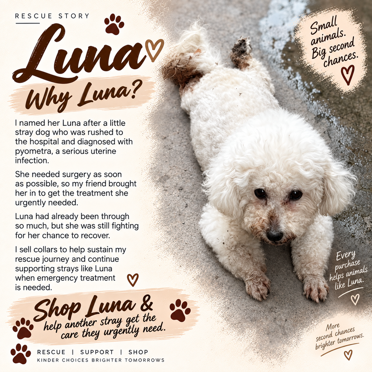 Aura Series - Luna