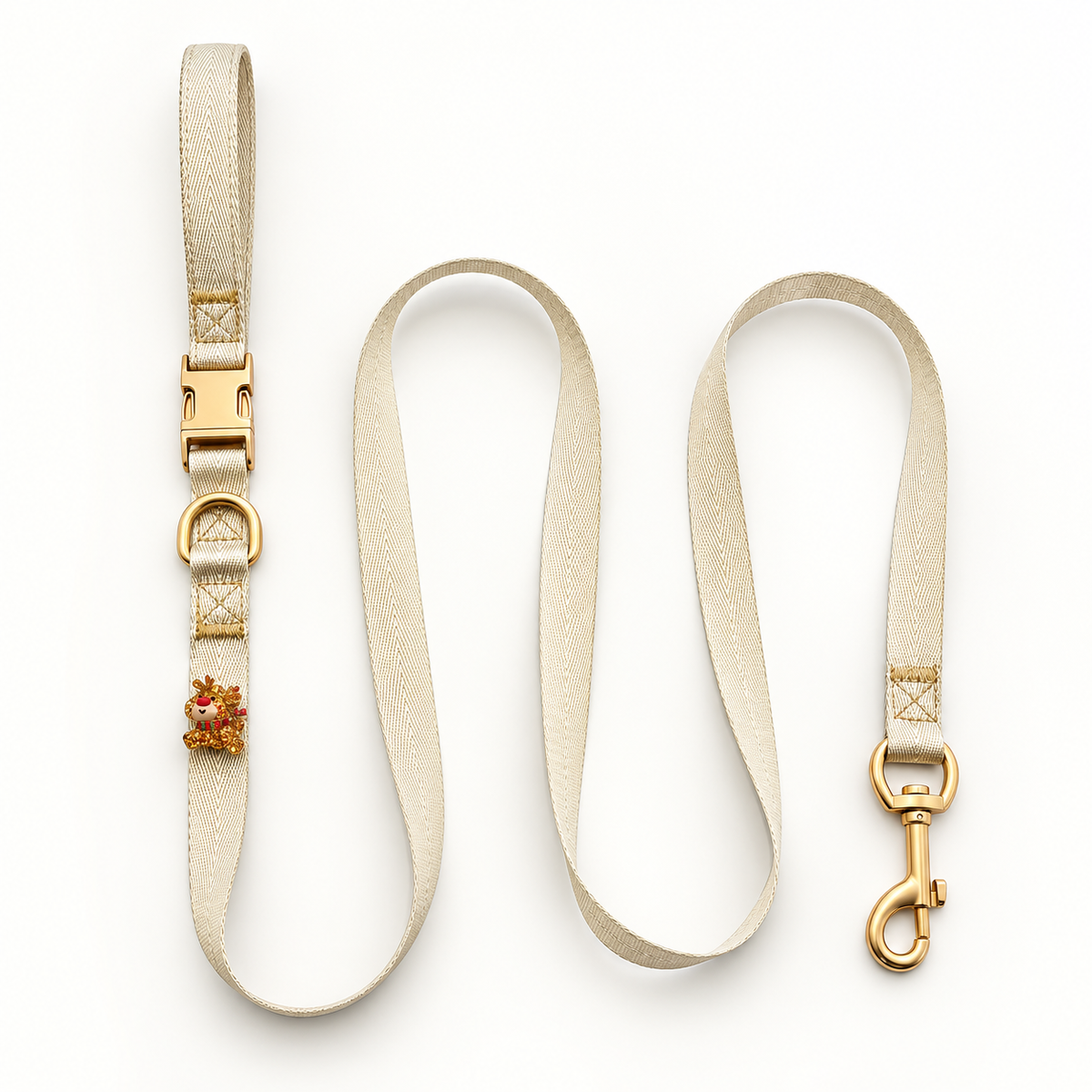 Leash