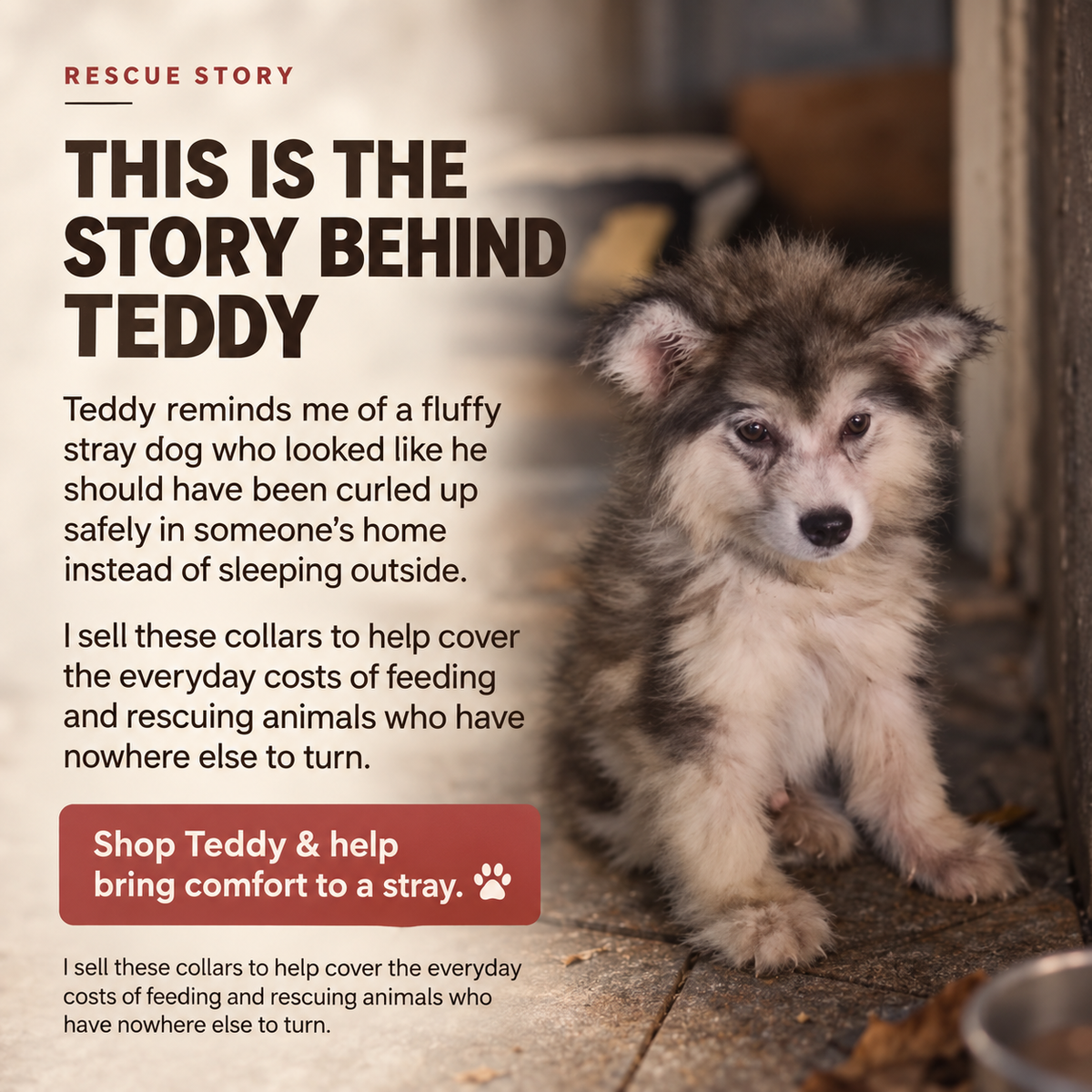 Halo Series - Teddy (brown)