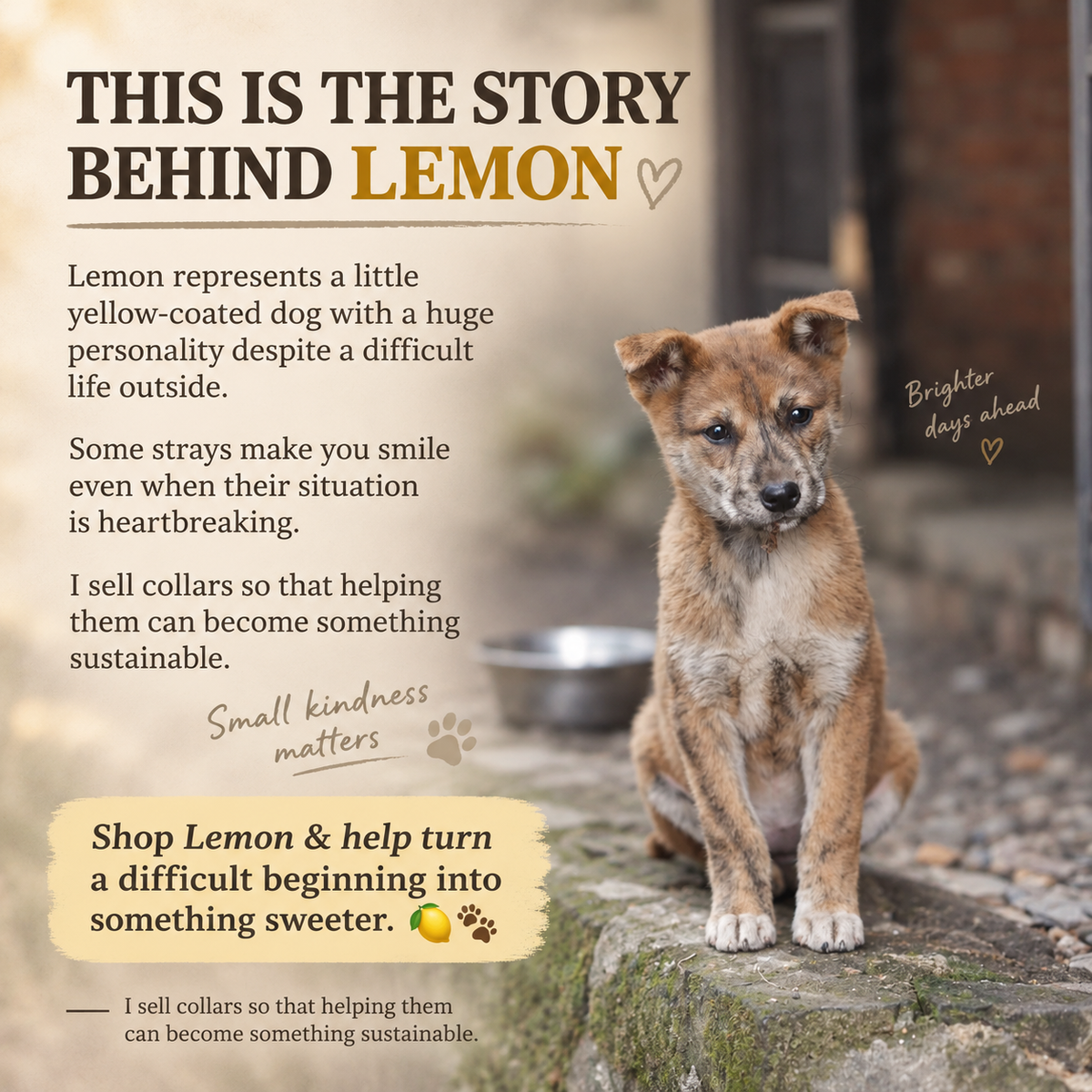 Halo Series - Lemon (yellow)