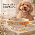 Personalise Your Collar