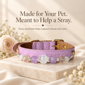 Halo Series - Violet (purple)