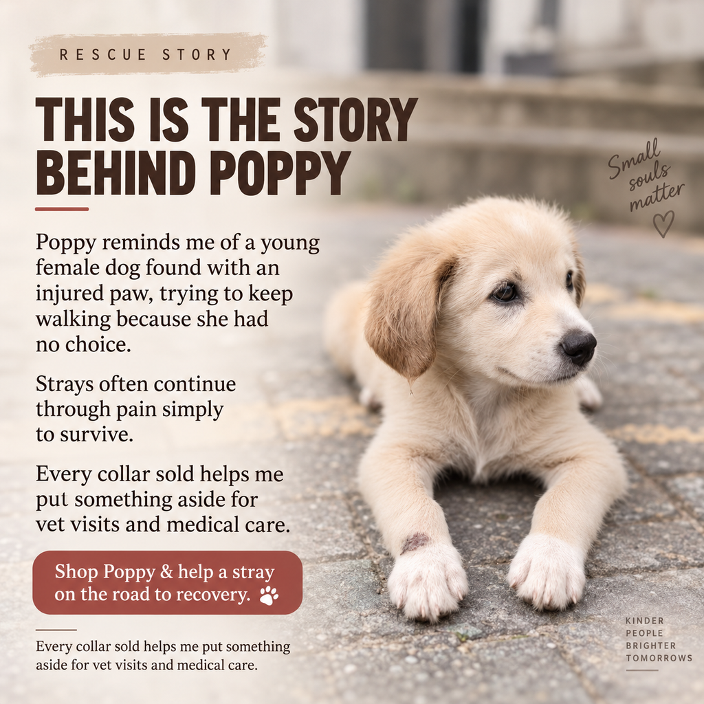 Halo Series - Poppy (purple)