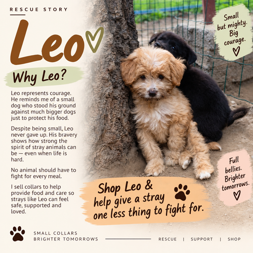 Aura Series - Leo