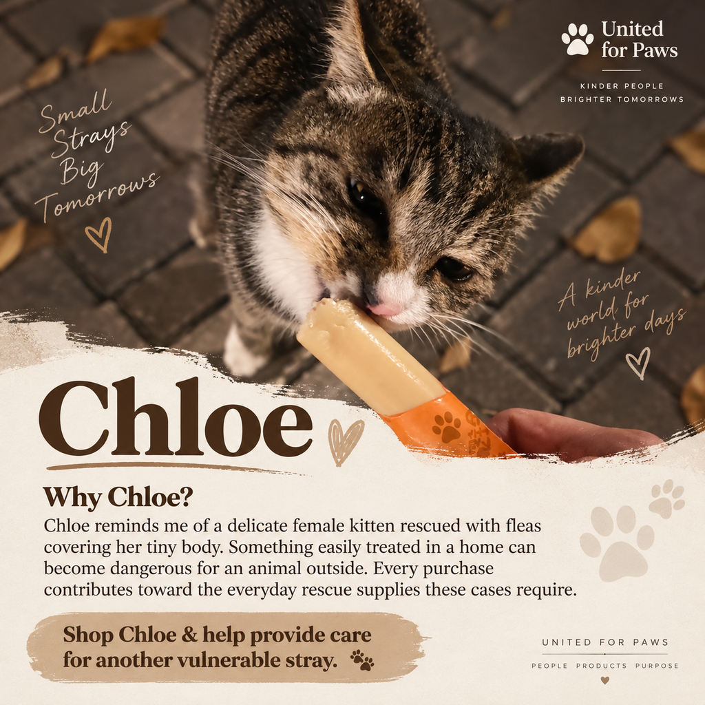 Aura Series - Chloe