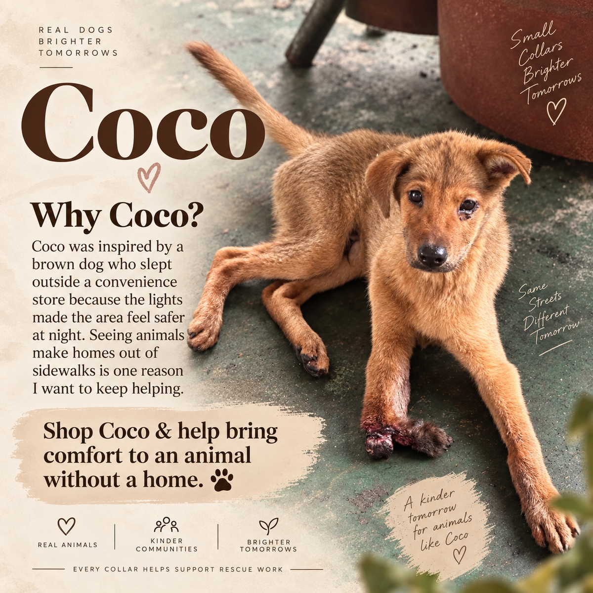 Aura Series - Coco