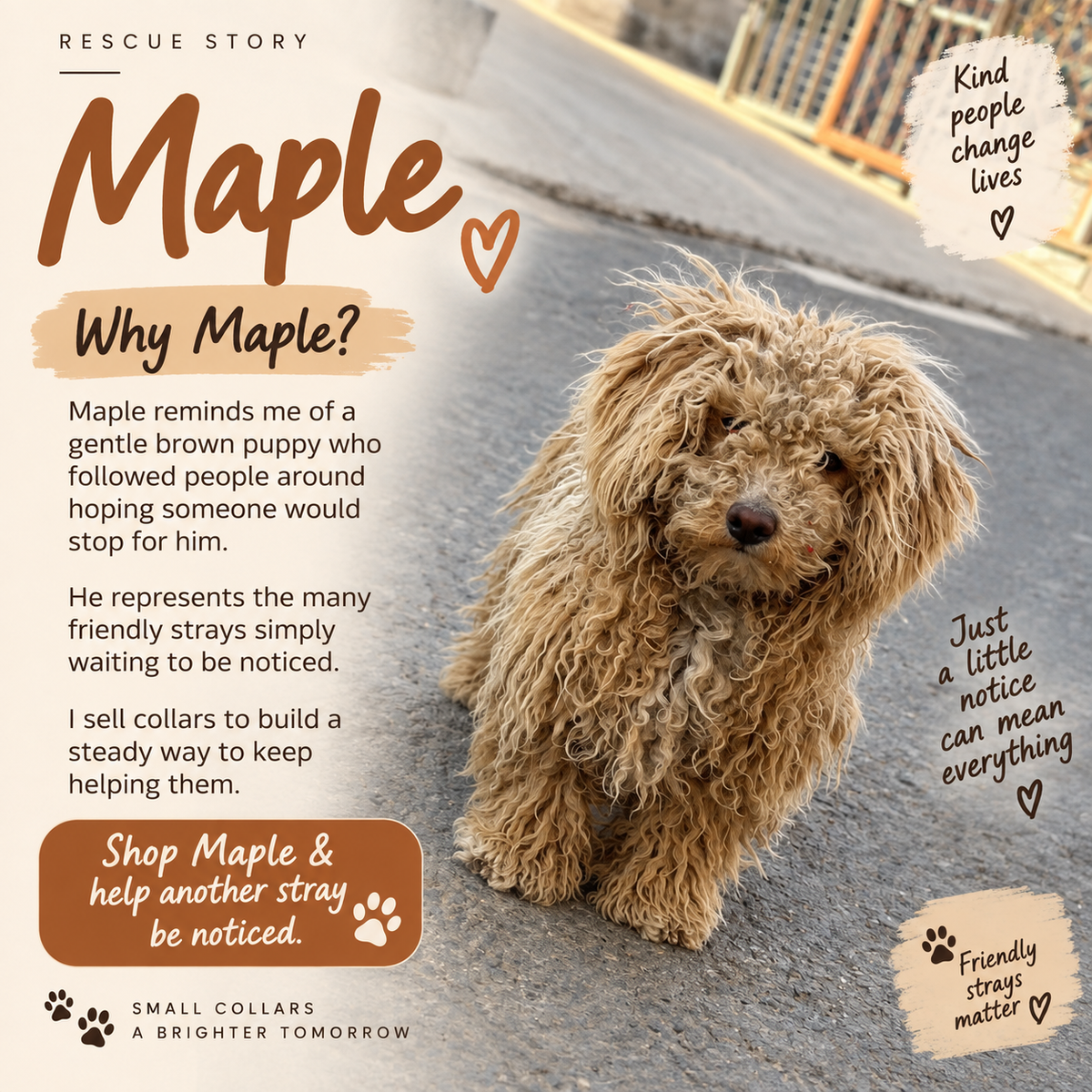 Halo Series - Maple (yellow)