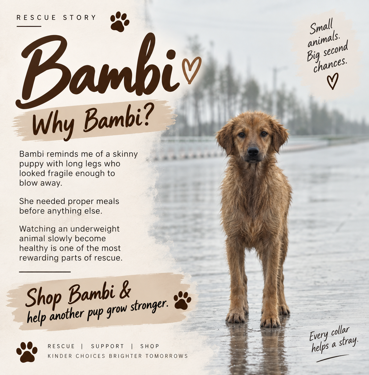 Twin Series - Bambi