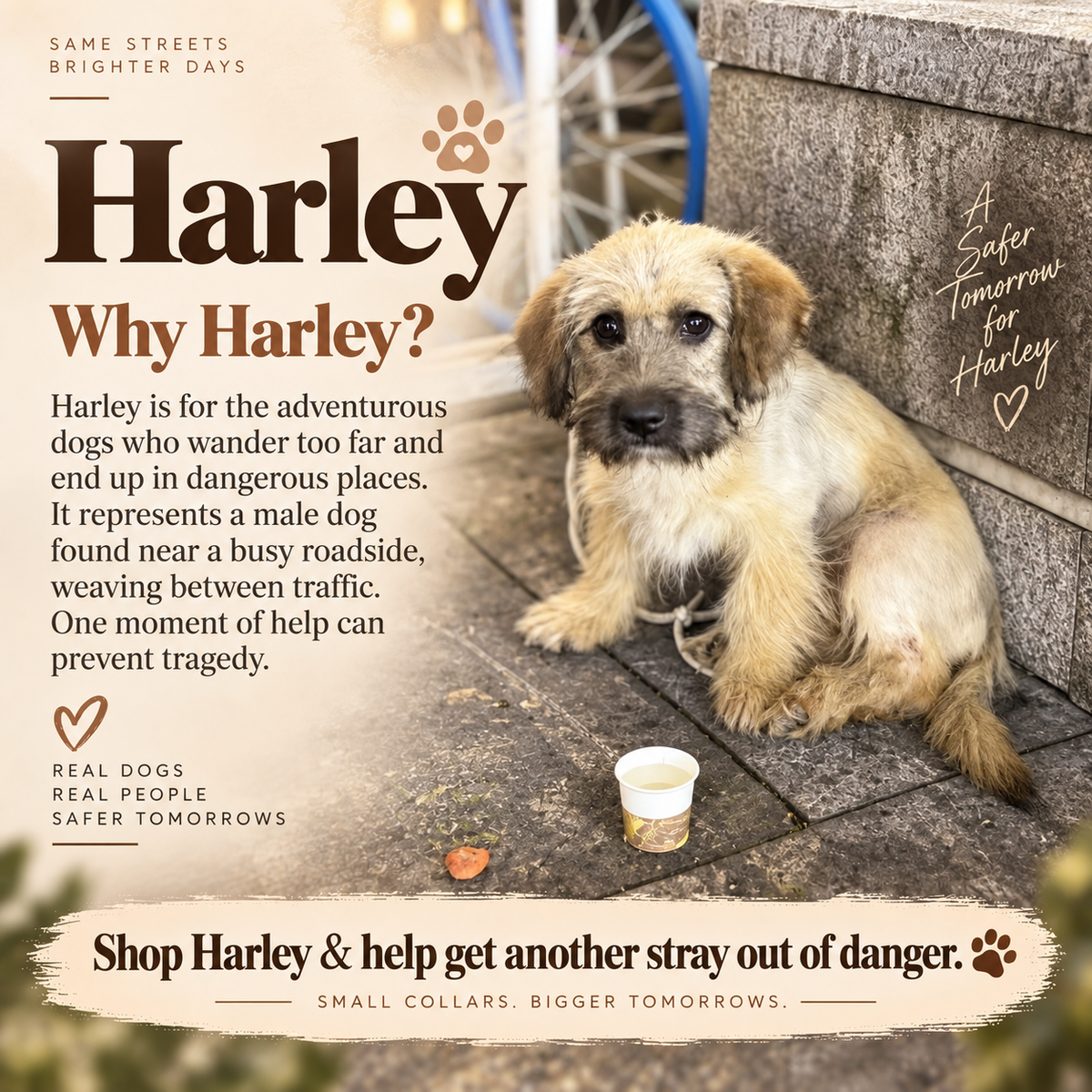 Twin Series - Harley